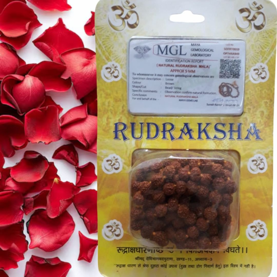 Certified Rudraksha Japa Mala (9 mm)/प्रमाणित रुद्राक्ष जप माला (9 मिमी)