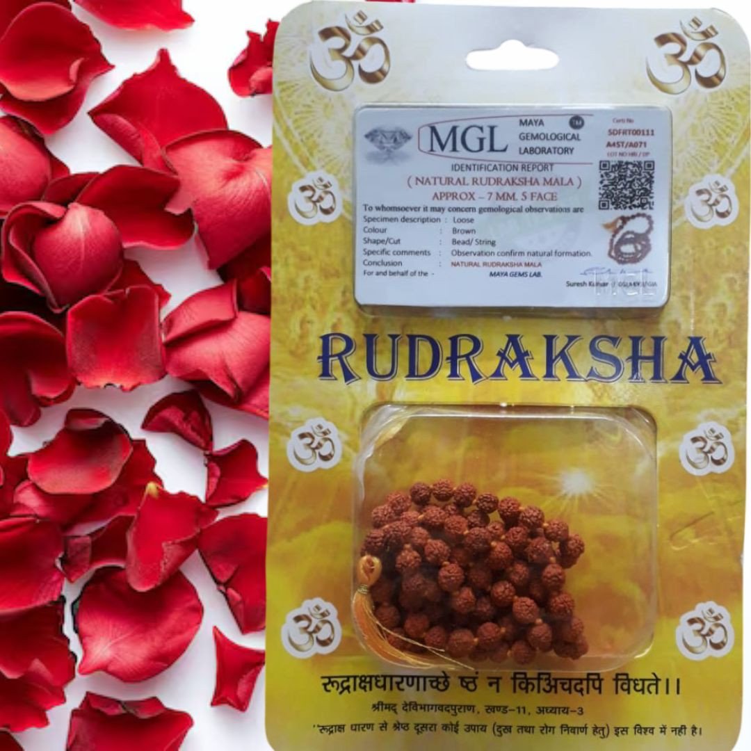 7mm 5 Mukhi Rudraksha Mala (108+1 Beads)/7 मि.मी. 5 मुखी रुद्राक्ष माला (108+1 दाने)